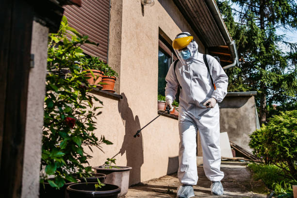 Best Bed Bug Extermination  in Maineville, OH