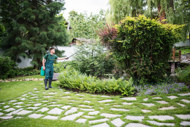 Best Insect Control  in Maineville, OH