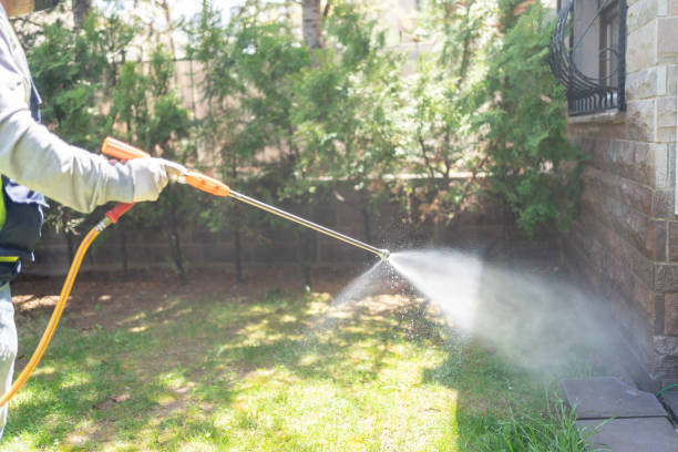 Bird Control in Maineville, OH
