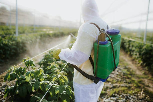 Best Pest Control Near Me  in Maineville, OH
